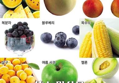 여름 과일